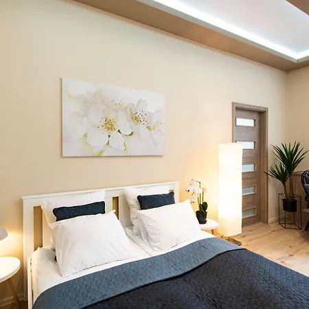 - - Comfy * Budapest